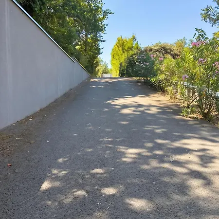 Convivial Avec Terrasse A Carignan-de-bordeaux, 28 M²